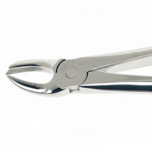 Upper Forcep Cowhorn- Right