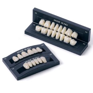 Acrylic Resin Teeth