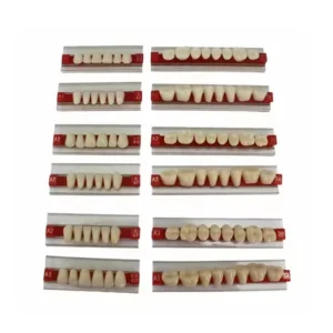 Acylic Teeth Two Layer 20hd Full Mouth