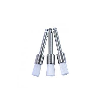 Prophy Brush
