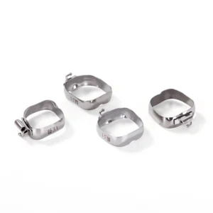Molar Bands  022