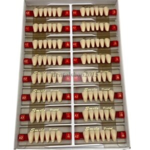 Lower Anterior U88 A1